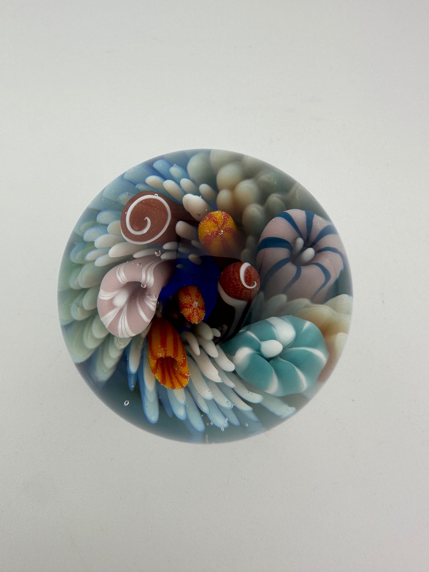 Brando Glass ( Brandon Welk ) Sea Life Marble