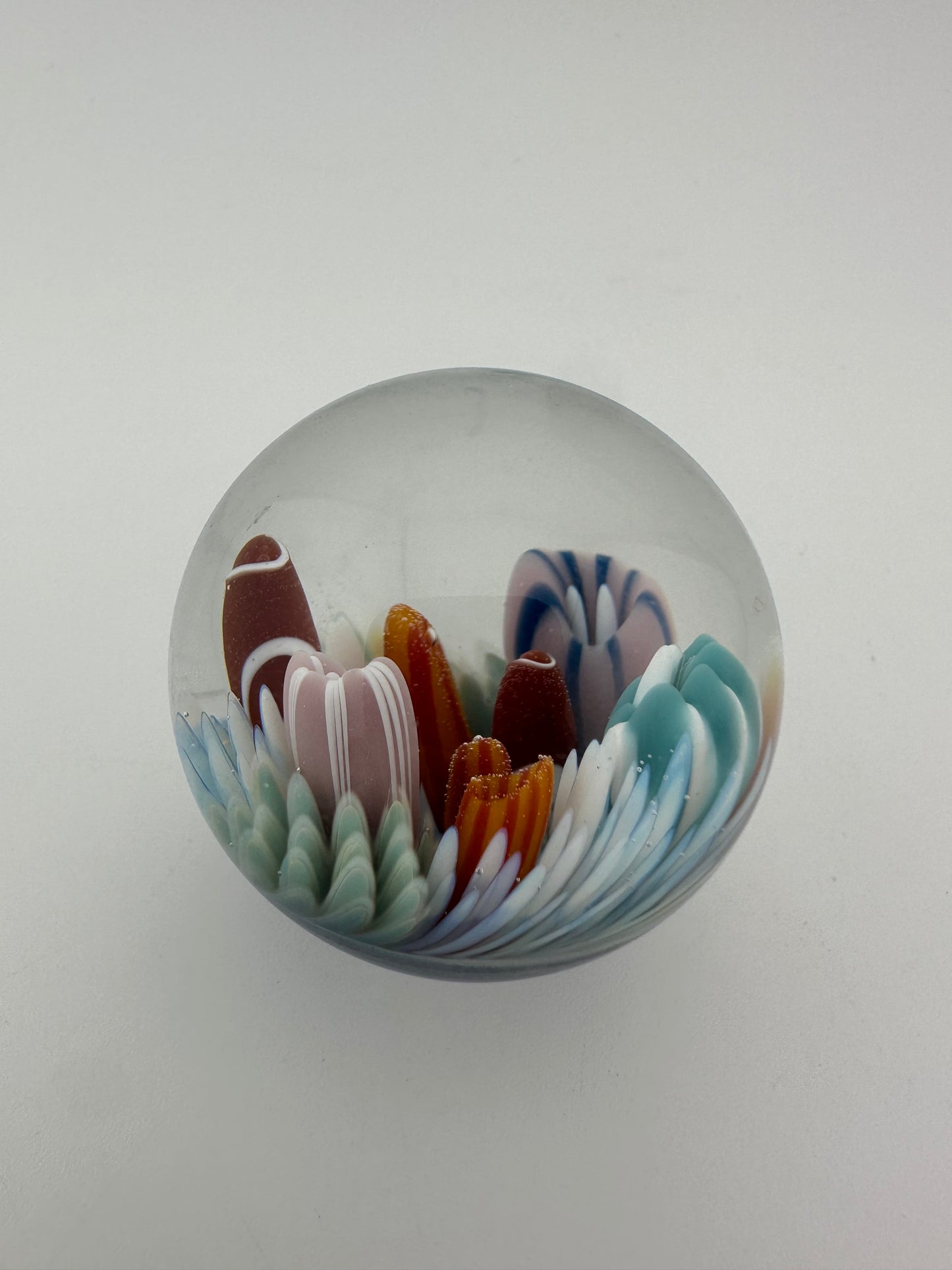 Brando Glass ( Brandon Welk ) Sea Life Marble