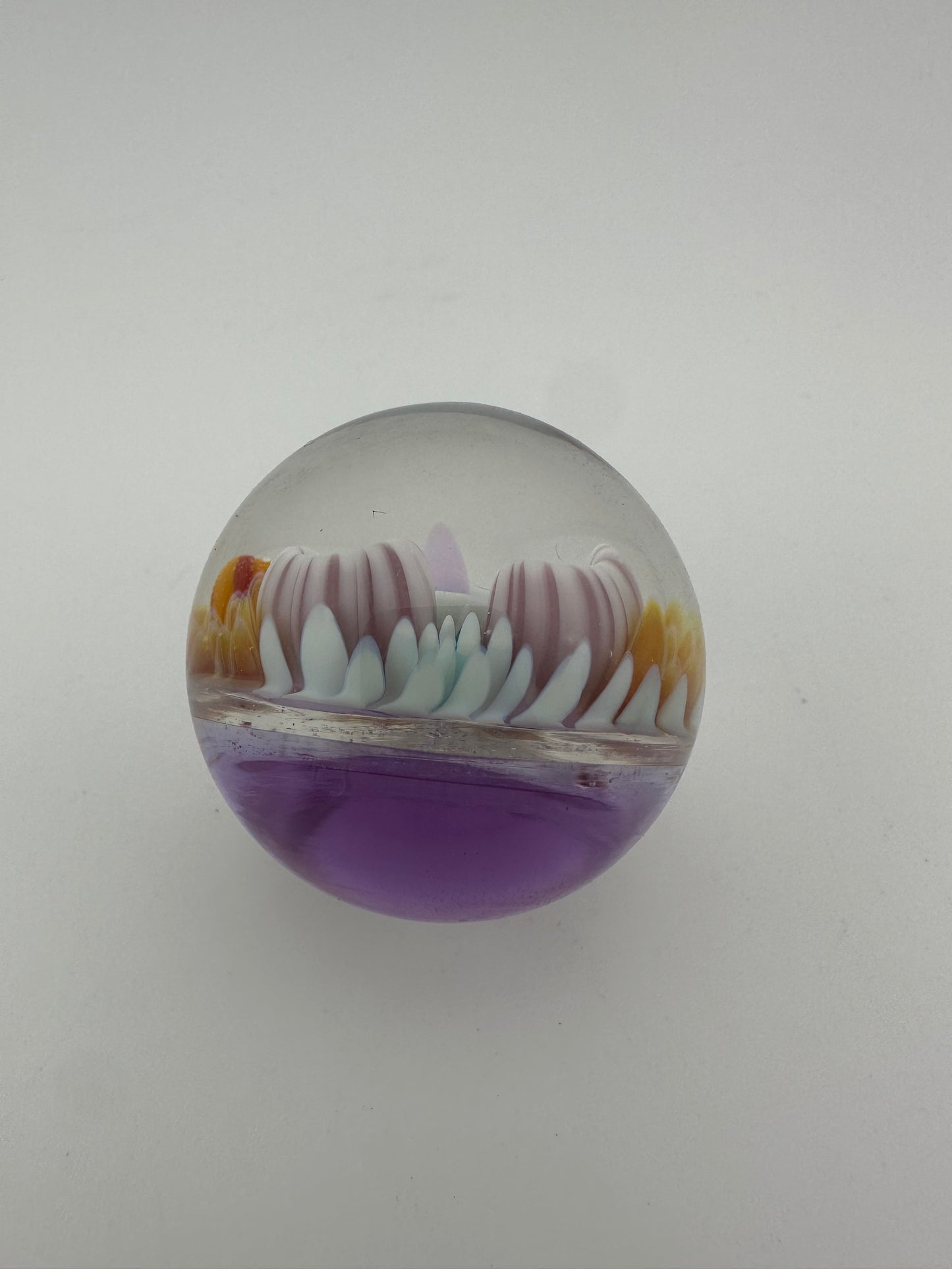 Brando Glass ( Brandon Welk ) Sea Life Marble