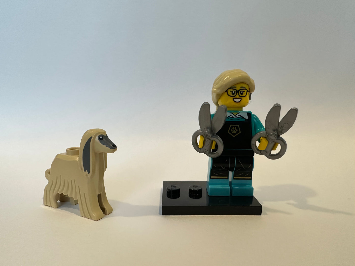 Lego Minifigures Series 25 Pet Groomer