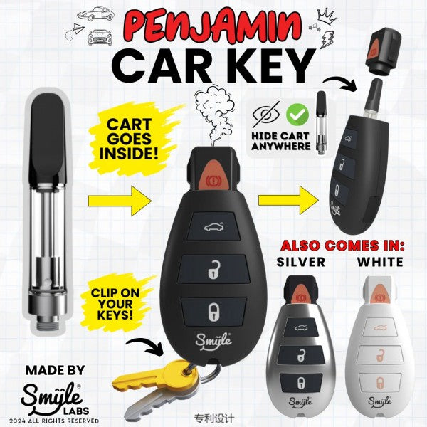 Smyle Penjamin Car Key 510 Battery / Cartridge Battery