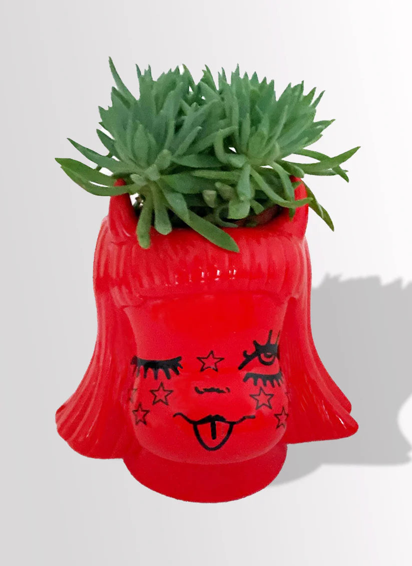 Valfre Lucy Ceramic Planter / Flower pot